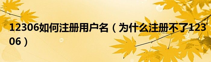 12306如何注册用户名（为什么注册不了12306）