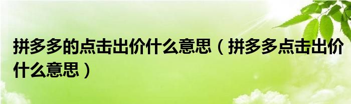 拼多多的点击出价什么意思（拼多多点击出价什么意思）