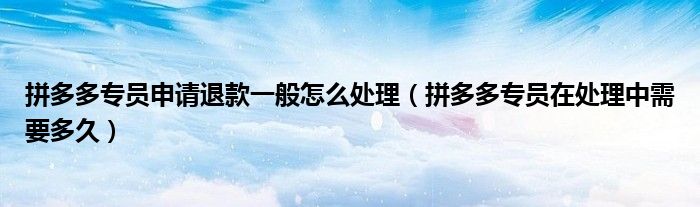 拼多多专员申请退款一般怎么处理（拼多多专员在处理中需要多久）