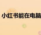 小红书能在电脑上用吗（小红书有电脑版吗）