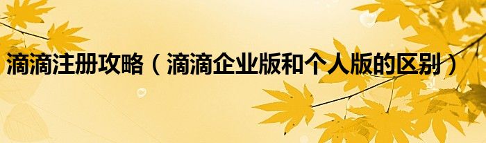 滴滴注册攻略（滴滴企业版和个人版的区别）