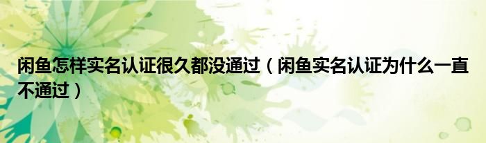 闲鱼怎样实名认证很久都没通过（闲鱼实名认证为什么一直不通过）