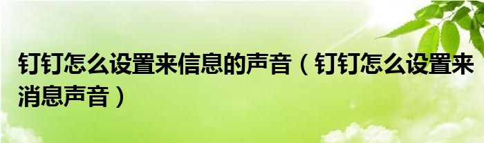钉钉怎么设置来信息的声音（钉钉怎么设置来消息声音）