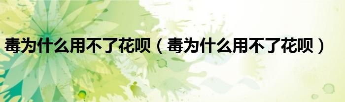 毒为什么用不了花呗（毒为什么用不了花呗）