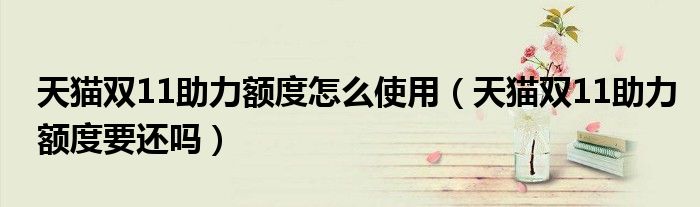 天猫双11助力额度怎么使用（天猫双11助力额度要还吗）