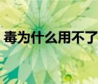 毒为什么用不了花呗（毒为什么用不了花呗）