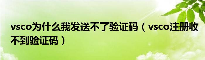 vsco为什么我发送不了验证码（vsco注册收不到验证码）