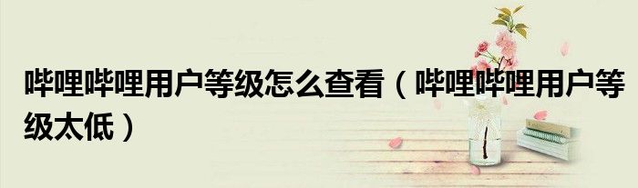 哔哩哔哩用户等级怎么查看（哔哩哔哩用户等级太低）