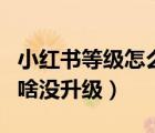 小红书等级怎么升级快（小红书任务做到了为啥没升级）