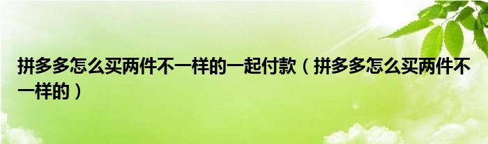 拼多多怎么买两件不一样的一起付款（拼多多怎么买两件不一样的）