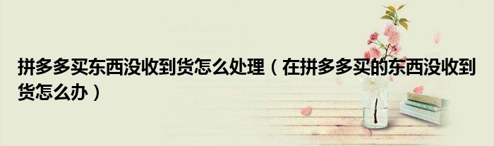 拼多多买东西没收到货怎么处理（在拼多多买的东西没收到货怎么办）