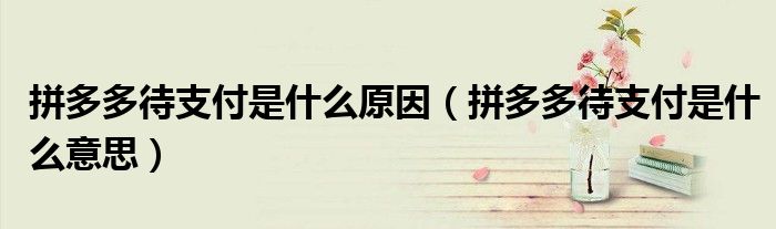 拼多多待支付是什么原因（拼多多待支付是什么意思）