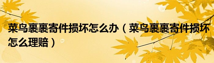 菜鸟裹裹寄件损坏怎么办（菜鸟裹裹寄件损坏怎么理赔）