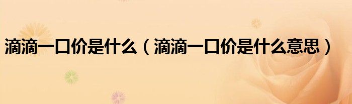 滴滴一口价是什么（滴滴一口价是什么意思）