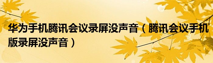 华为手机腾讯会议录屏没声音（腾讯会议手机版录屏没声音）