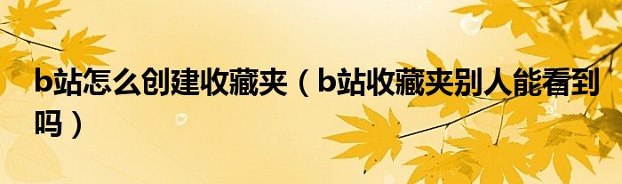 b站怎么创建收藏夹（b站收藏夹别人能看到吗）