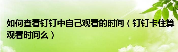 如何查看钉钉中自己观看的时间（钉钉卡住算观看时间么）