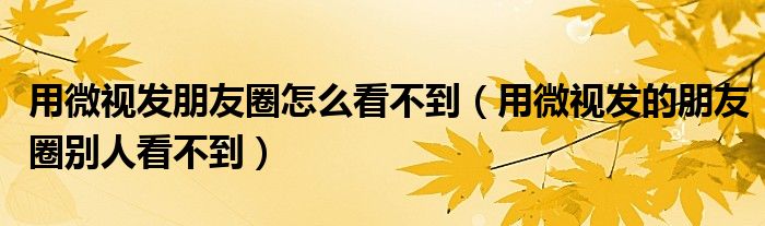 用微视发朋友圈怎么看不到（用微视发的朋友圈别人看不到）