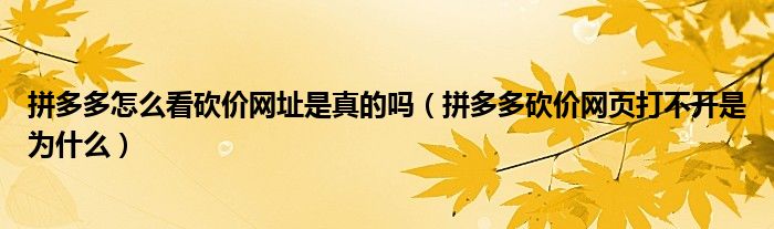 拼多多怎么看砍价网址是真的吗（拼多多砍价网页打不开是为什么）