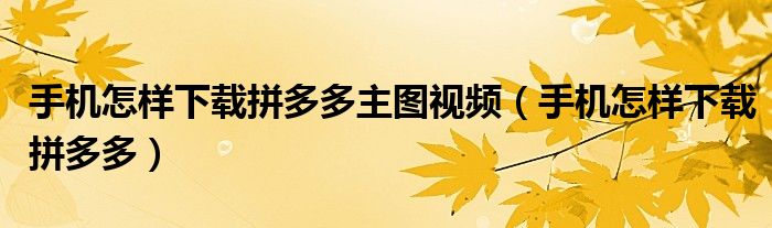 手机怎样下载拼多多主图视频（手机怎样下载拼多多）