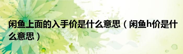 闲鱼上面的入手价是什么意思（闲鱼h价是什么意思）