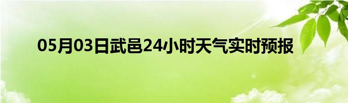 05月03日武邑24小时天气实时预报