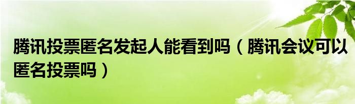 腾讯投票匿名发起人能看到吗（腾讯会议可以匿名投票吗）