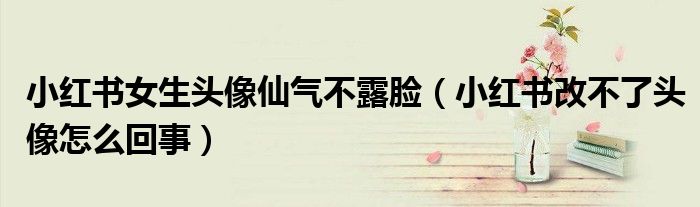 小红书女生头像仙气不露脸（小红书改不了头像怎么回事）