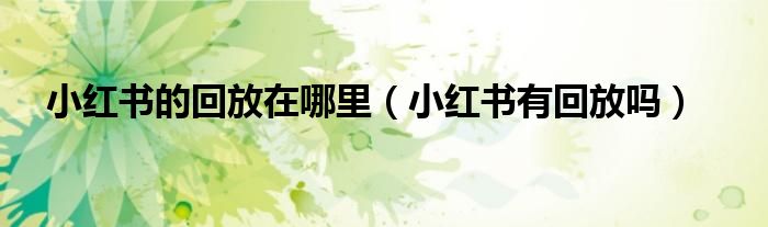 小红书的回放在哪里（小红书有回放吗）