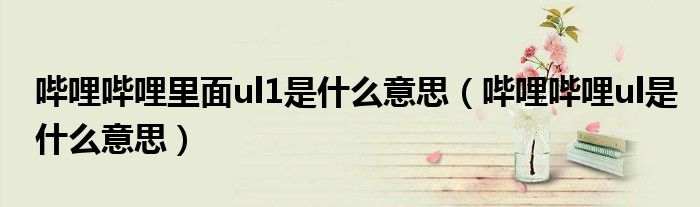 哔哩哔哩里面ul1是什么意思（哔哩哔哩ul是什么意思）