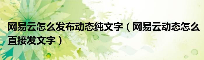 网易云怎么发布动态纯文字（网易云动态怎么直接发文字）