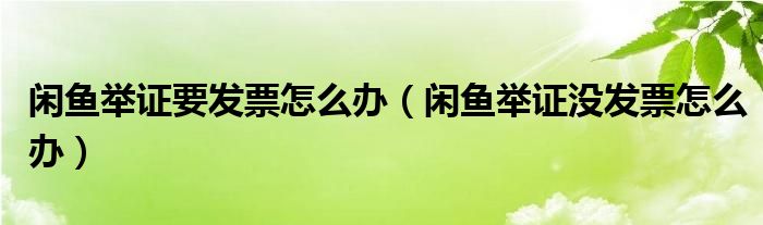 闲鱼举证要发票怎么办（闲鱼举证没发票怎么办）