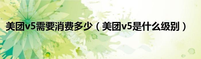 美团v5需要消费多少（美团v5是什么级别）