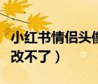 小红书情侣头像一男一女（小红书头像为什么改不了）