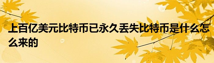 上百亿美元比特币已永久丢失比特币是什么怎么来的