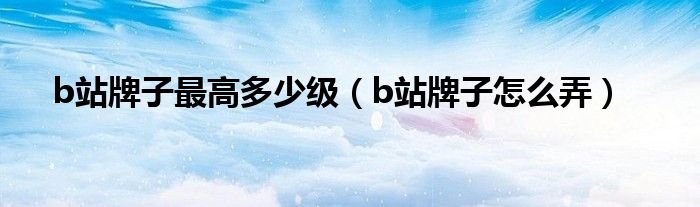 b站牌子最高多少级（b站牌子怎么弄）
