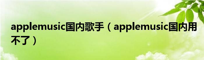 applemusic国内歌手（applemusic国内用不了）