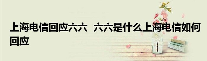 上海电信回应六六 六六是什么上海电信如何回应