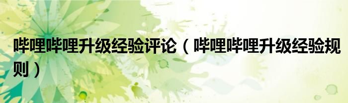哔哩哔哩升级经验评论（哔哩哔哩升级经验规则）