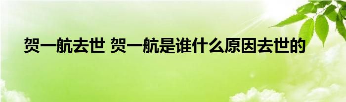 贺一航去世 贺一航是谁什么原因去世的