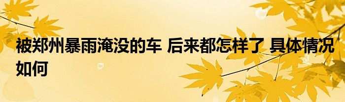 被郑州暴雨淹没的车 后来都怎样了 具体情况如何