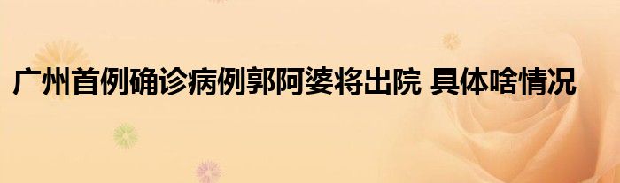 广州首例确诊病例郭阿婆将出院 具体啥情况