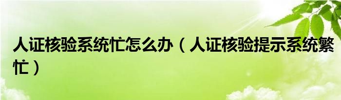 人证核验系统忙怎么办（人证核验提示系统繁忙）