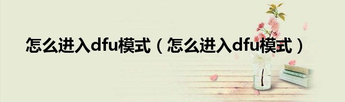 怎么进入dfu模式（怎么进入dfu模式）