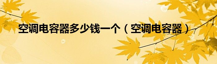 空调电容器多少钱一个（空调电容器）