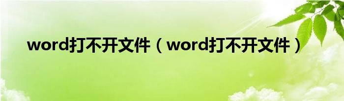 word打不开文件（word打不开文件）
