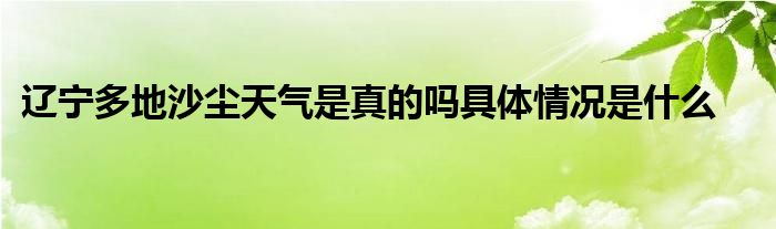辽宁多地沙尘天气是真的吗具体情况是什么