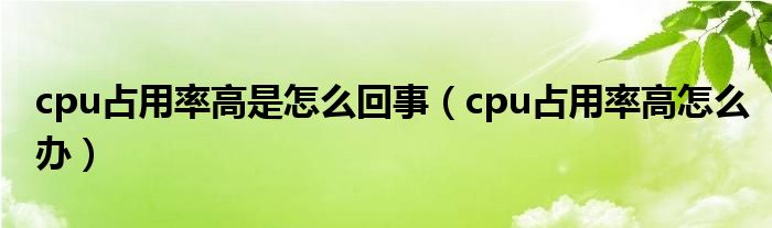 cpu占用率高是怎么回事（cpu占用率高怎么办）