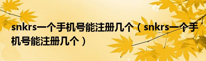 snkrs一个手机号能注册几个（snkrs一个手机号能注册几个）