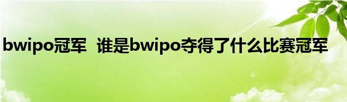 bwipo冠军 谁是bwipo夺得了什么比赛冠军